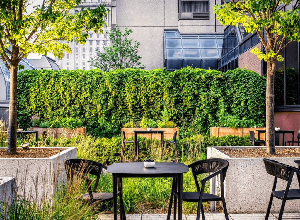 Hotel Image 9